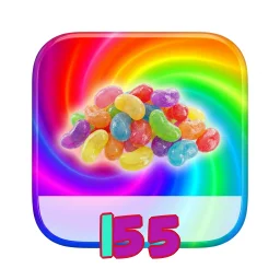 l55